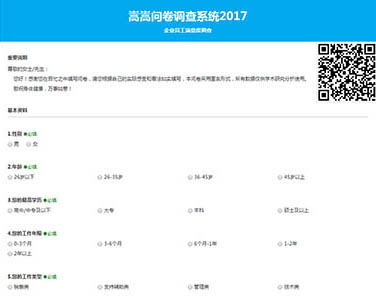 嵩嵩问卷调查系统2017 v1.2